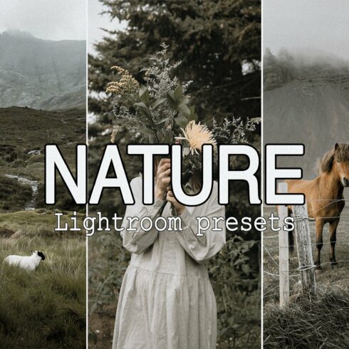 9 Nature Lightroom Presetscover image.