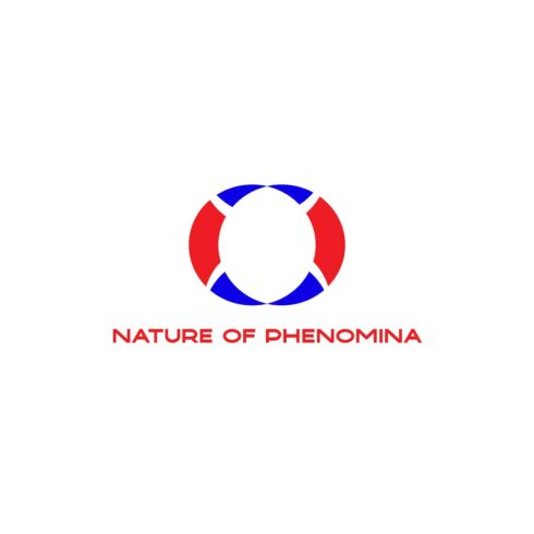 NATURE OF PHENOMENA cover image.