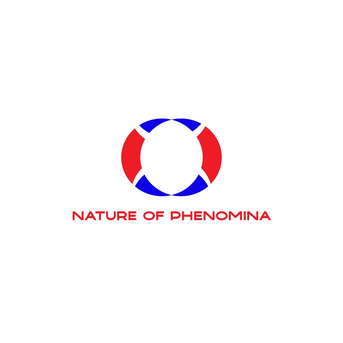 NATURE OF PHENOMENA cover image.