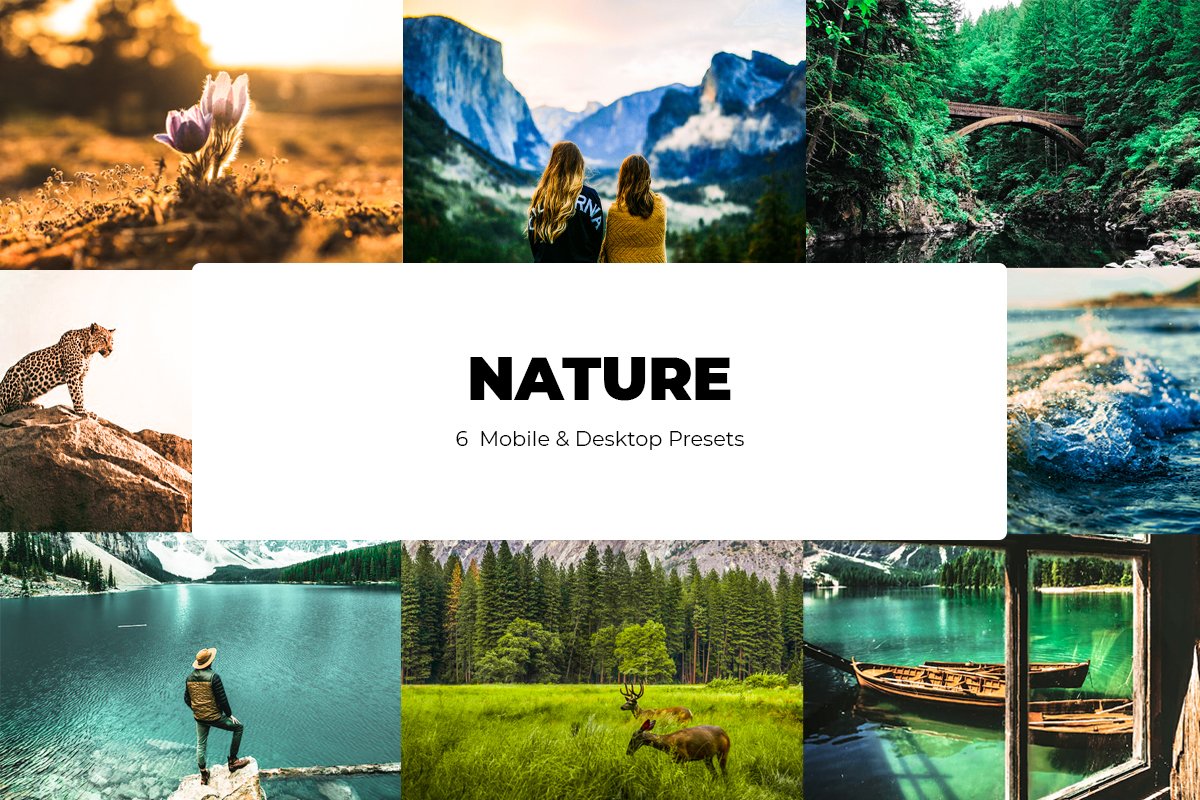 naturefrontcover 175