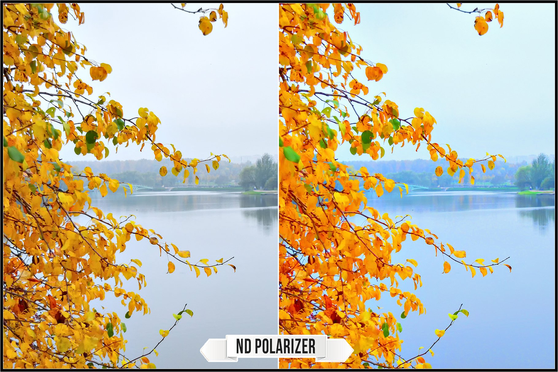 nd polarizer 5 11