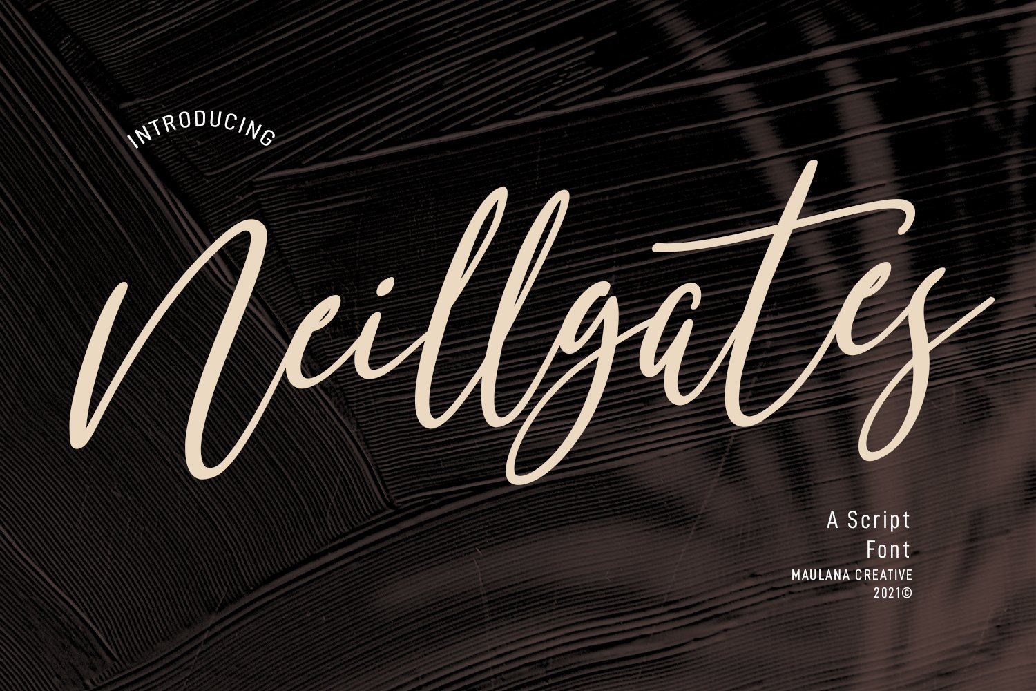 Neillgates Script Font cover image.