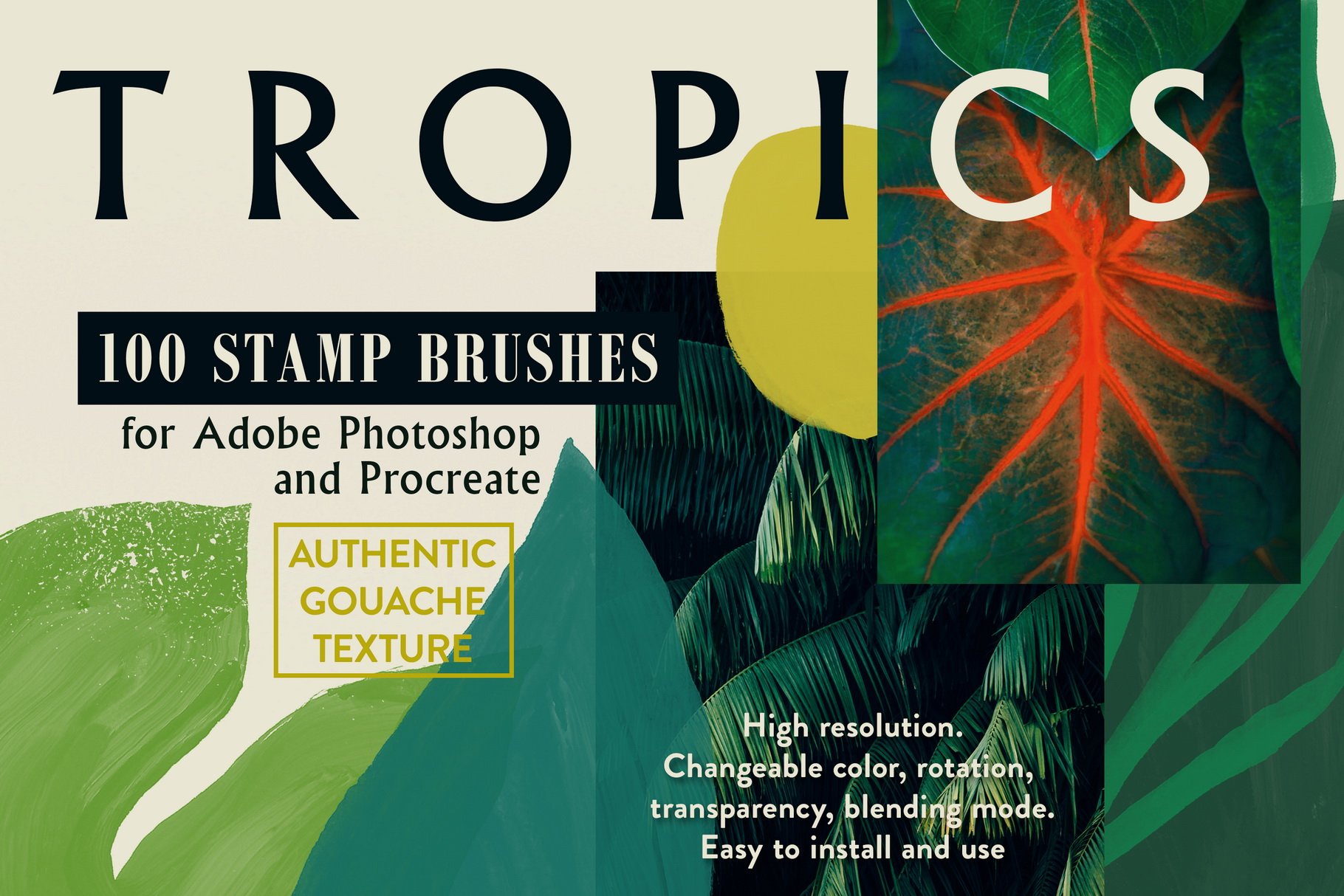 Tropics Photoshop&Procreate Brushespreview image.