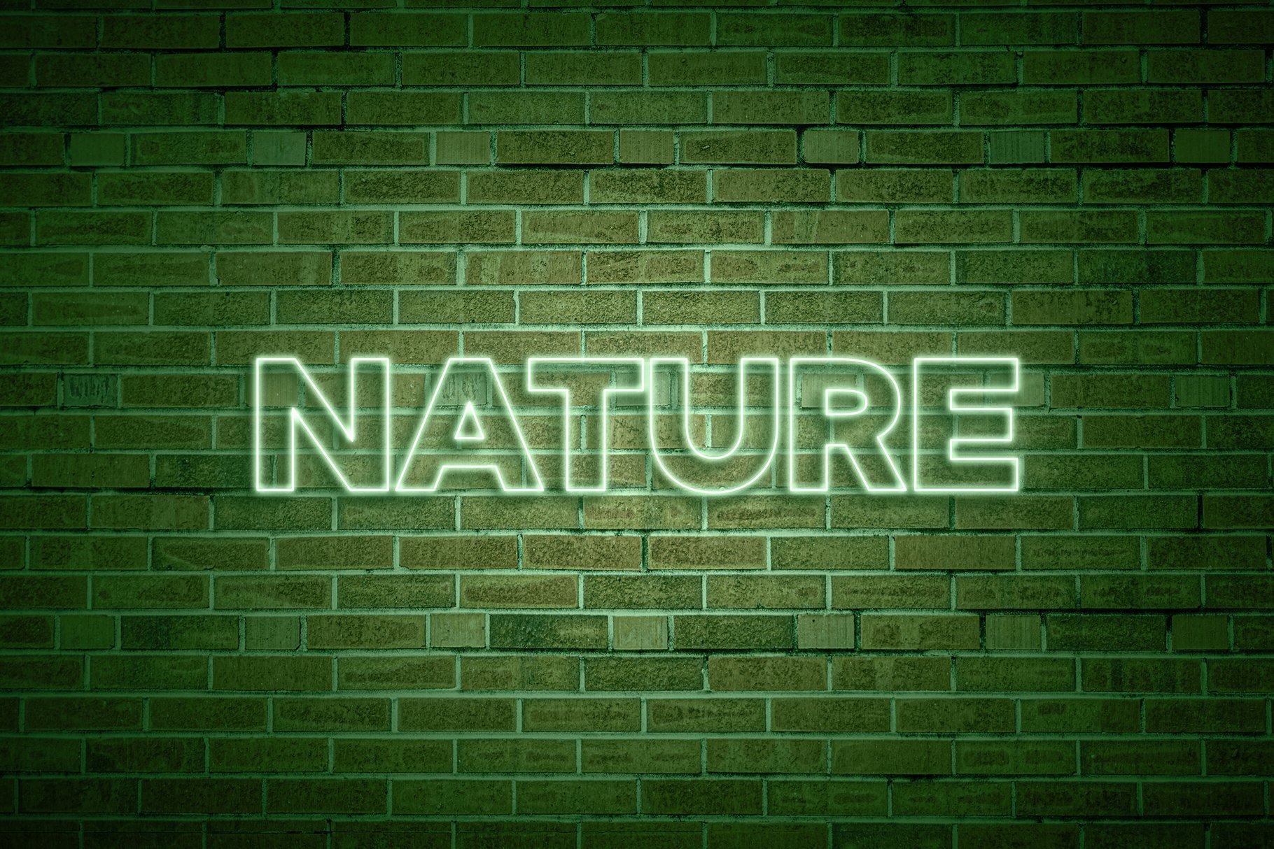 neon text effect nature 978