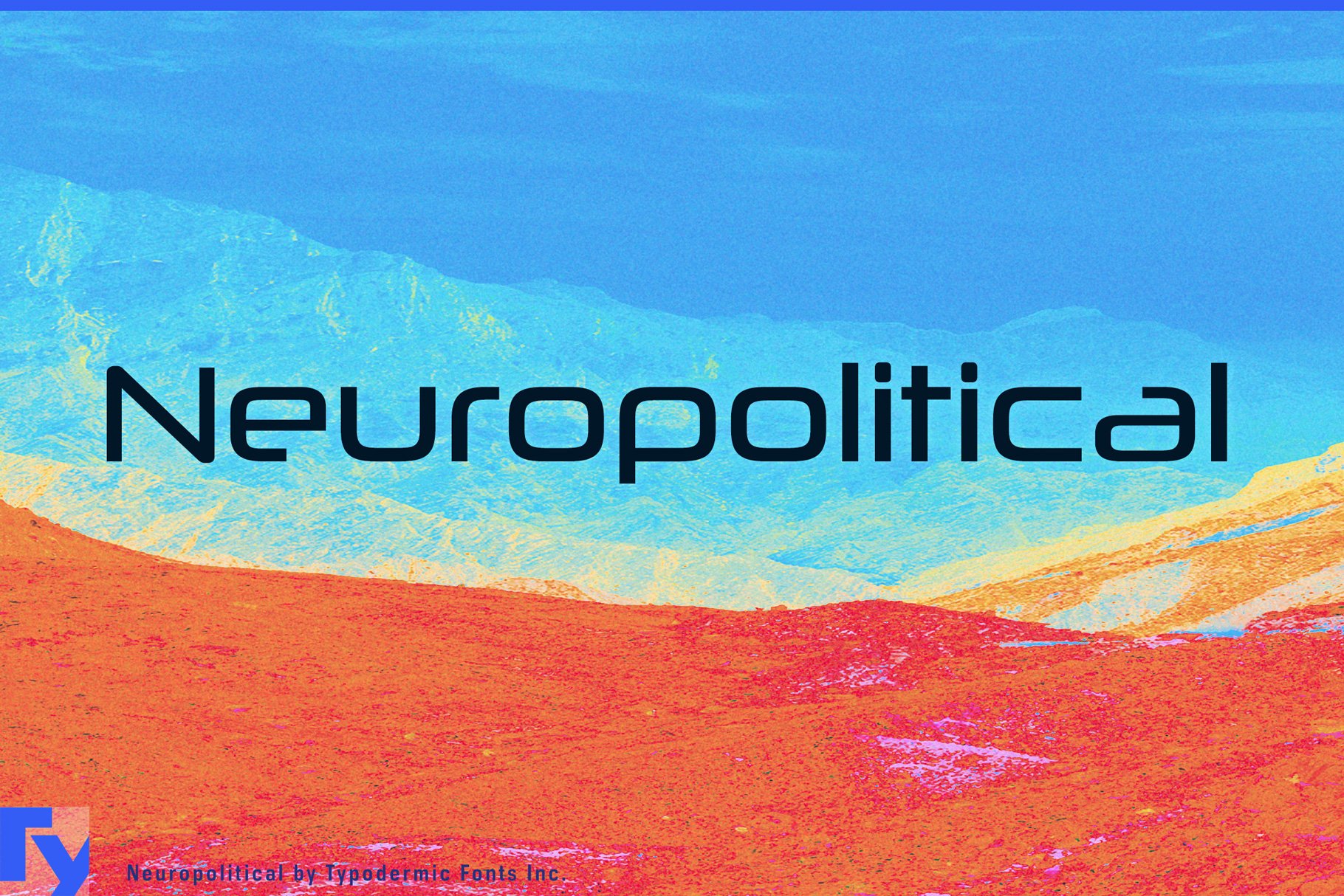Neuropolitical cover image.