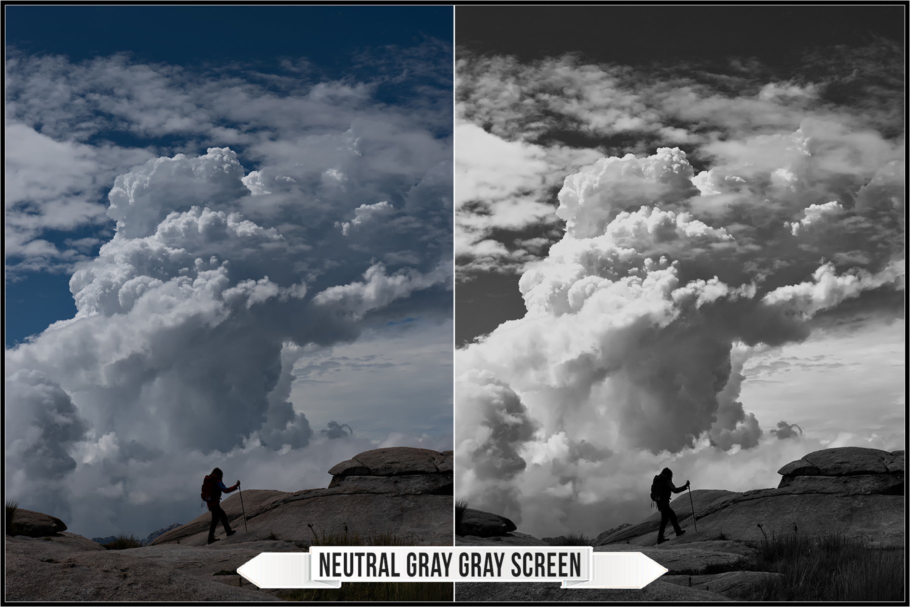 neutral gray gray screen 768