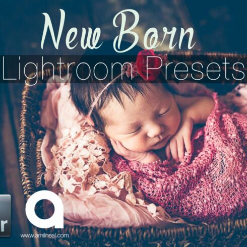 New Born Lightroom Presetscover image.