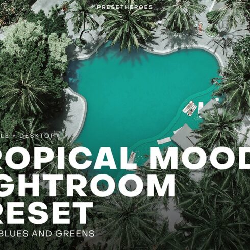 Tropical Moody Lightroom Presetcover image.