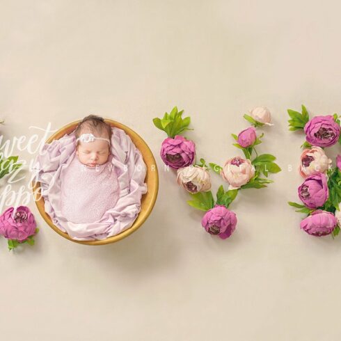 LOVE - Newborn Digital Backdropcover image.