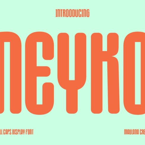 Neyko Sans Serif Display Font cover image.