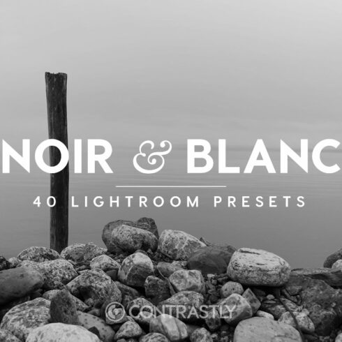 Noir & Blanc Lightroom Presetscover image.
