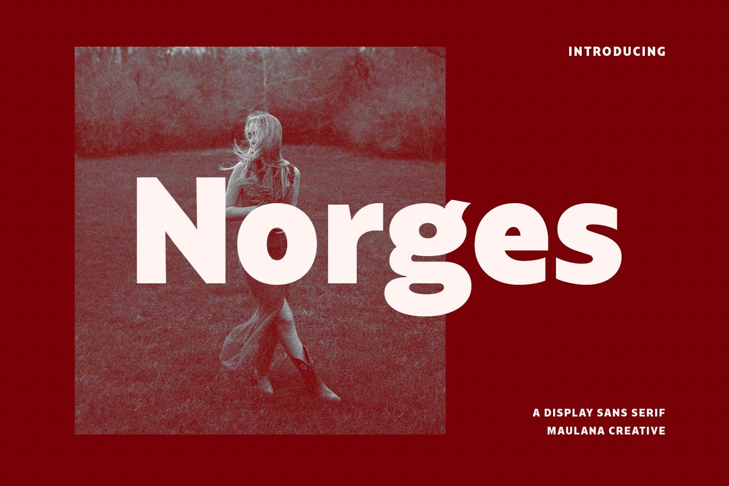Norges Sans Serif Font cover image.