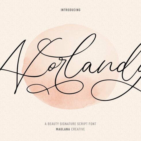 Norlandy Beauty Script Font cover image.