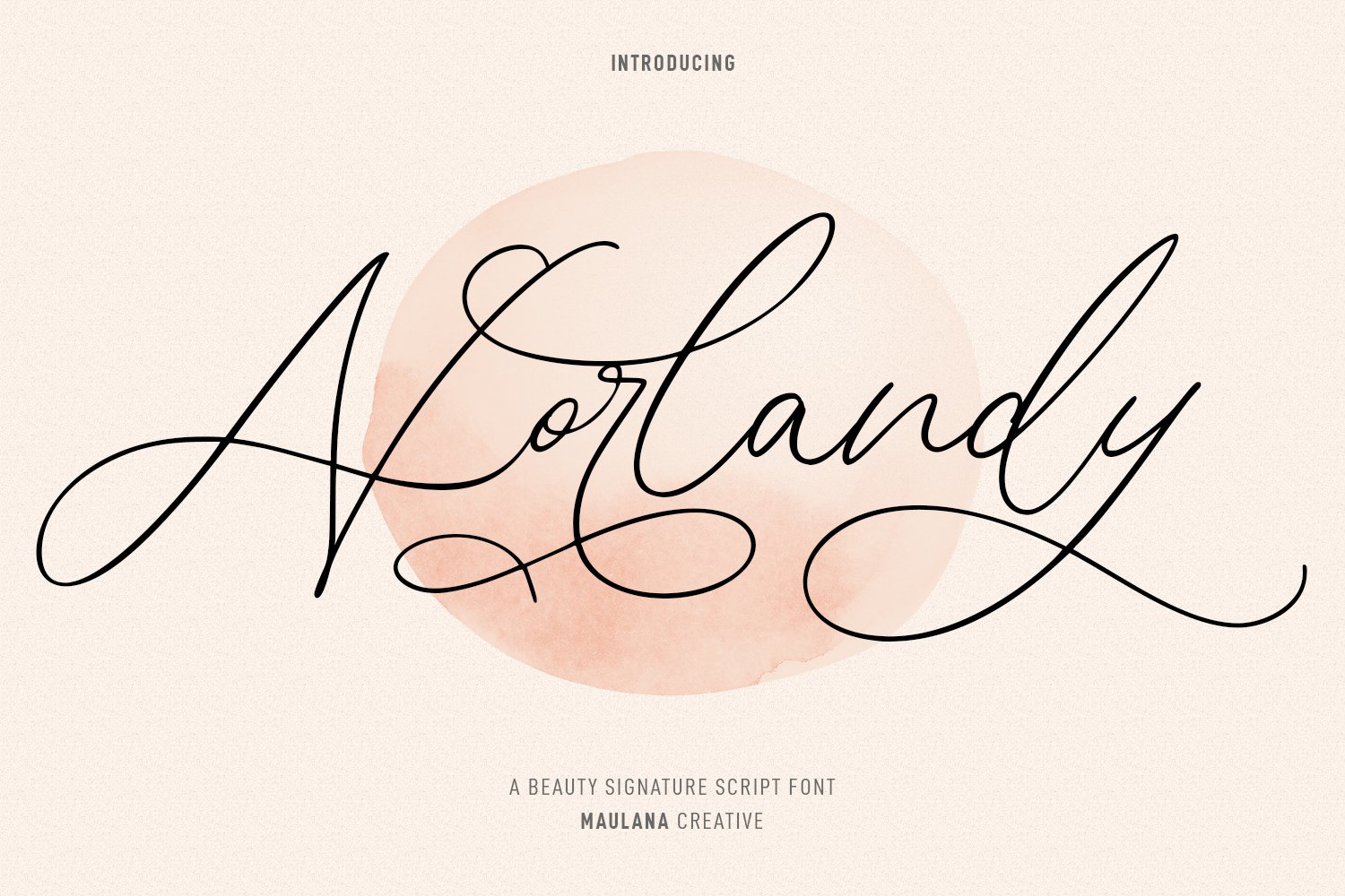 Norlandy Beauty Script Font cover image.