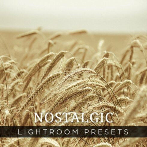 Nostalgic Lightroom Presets Volume 1cover image.
