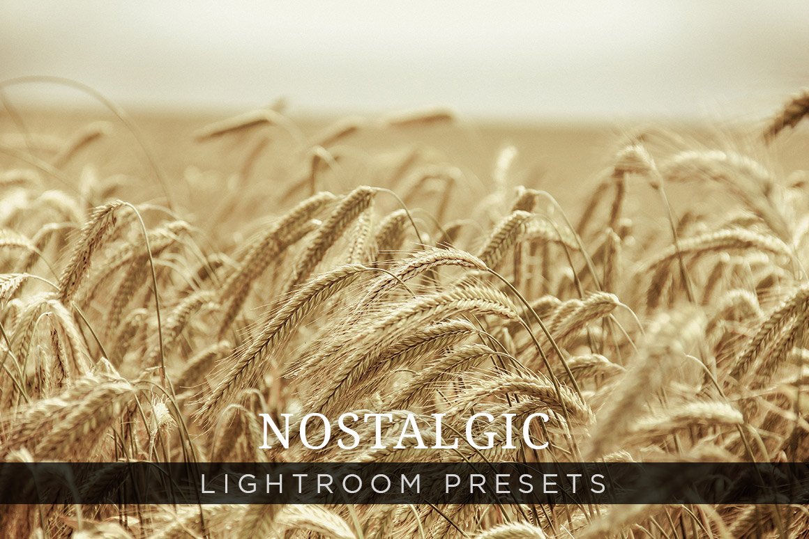 Nostalgic Lightroom Presets Volume 1cover image.