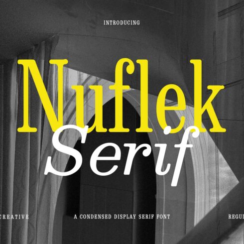 Nuflek Display Serif Font cover image.