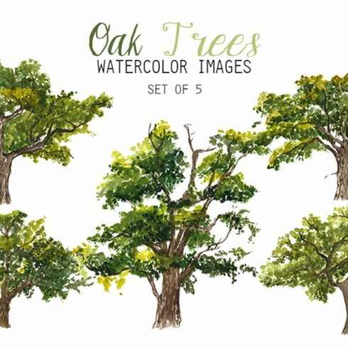 Set of watercolor trees on a white background.