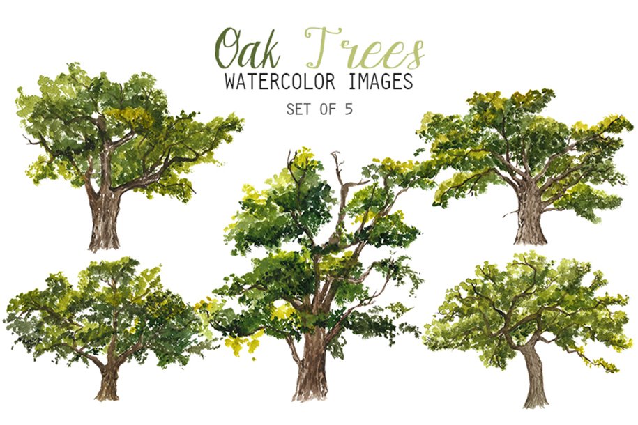 Set of watercolor trees on a white background.