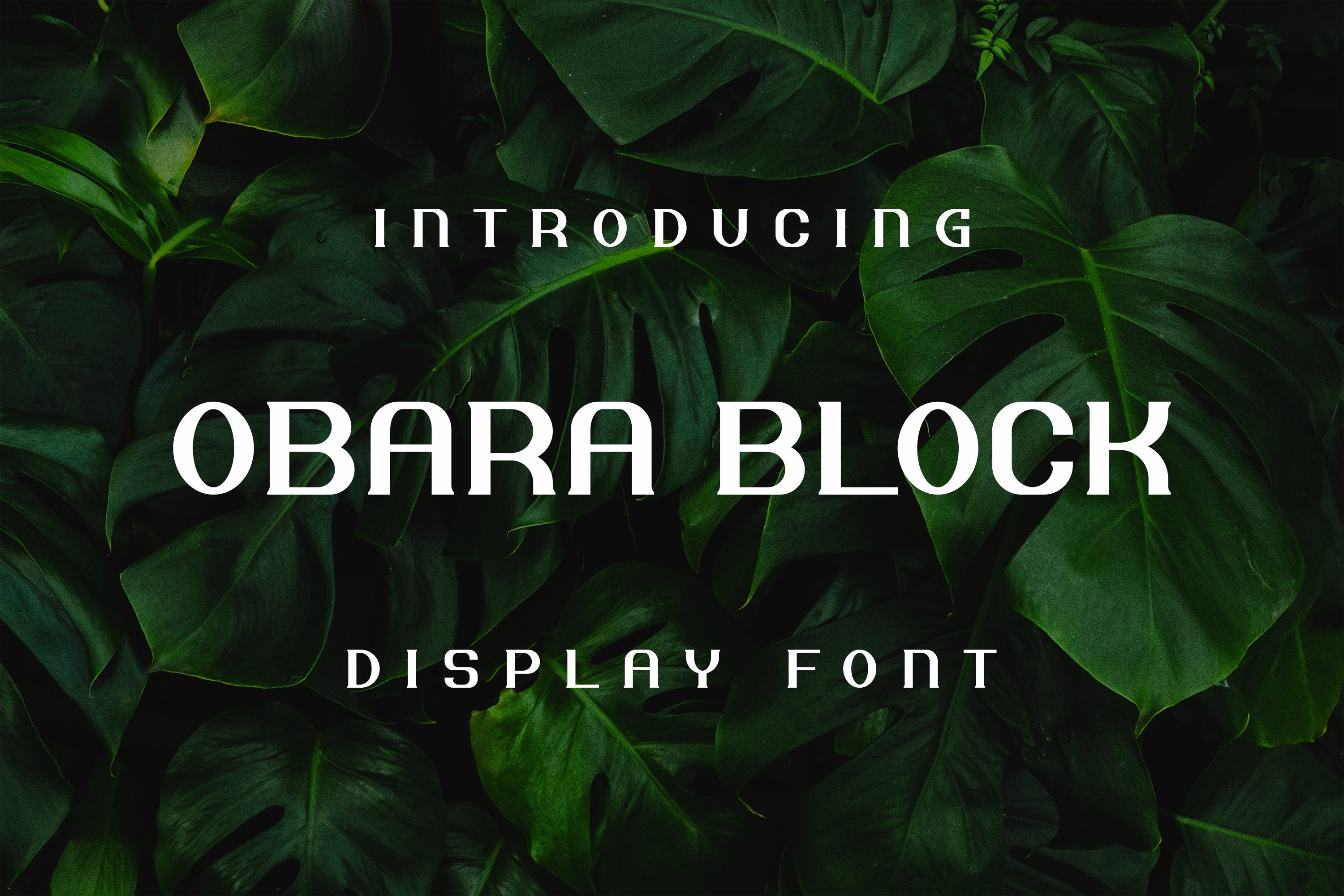 Obara Blockcover image.