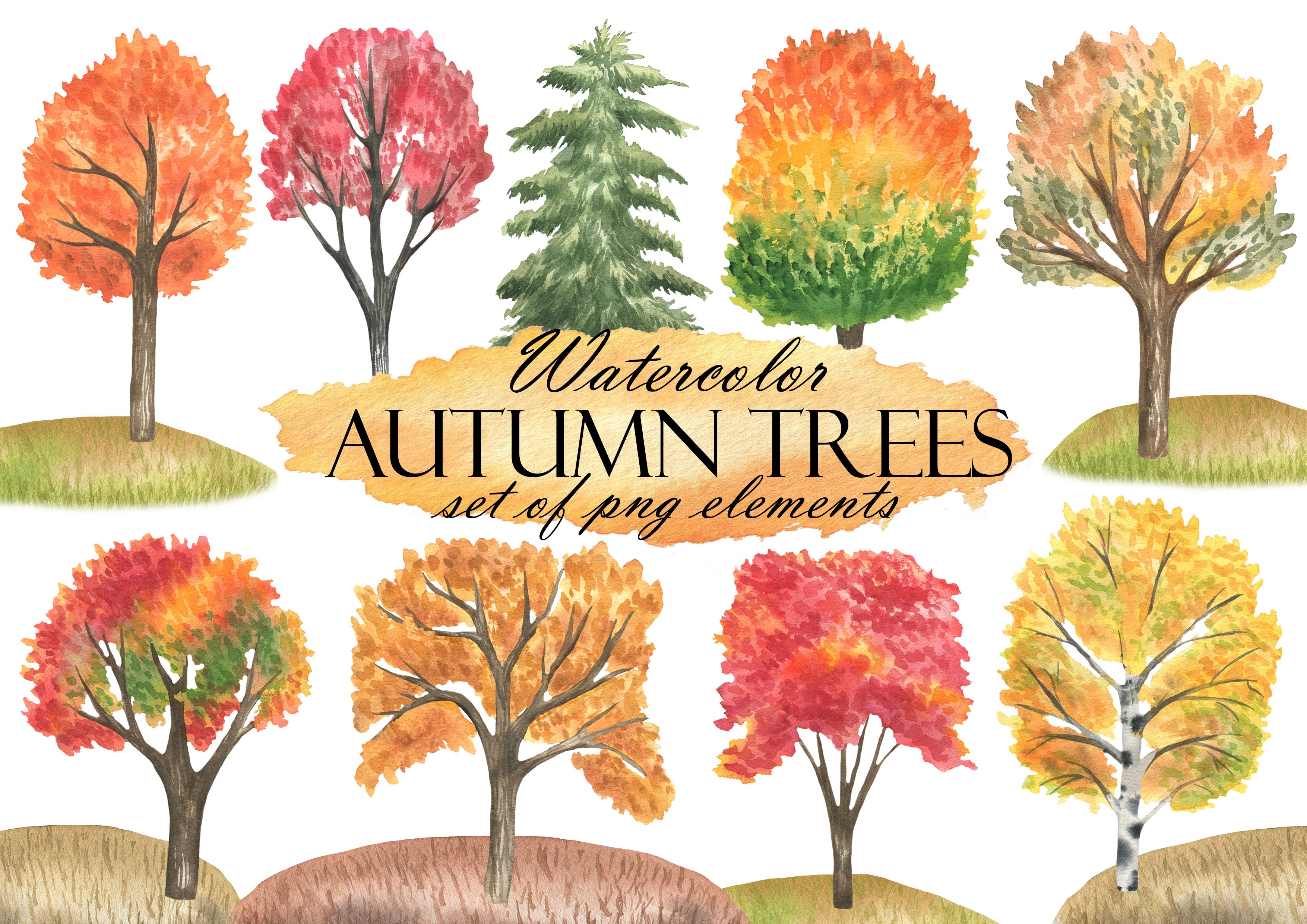 Autumn Forest Trees cover image.