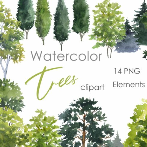 Watercolor clipart. Tree png cover image.