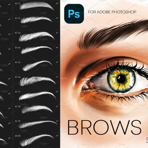 Photoshop Brows Stamp Brushes Makeupcover image.