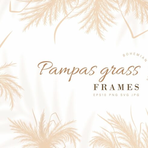 White background with palm trees and the words pampas grass frames.