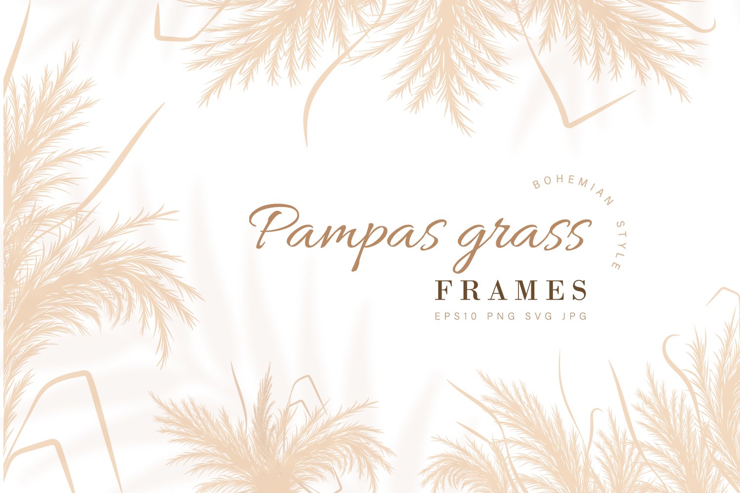 White background with palm trees and the words pampas grass frames.