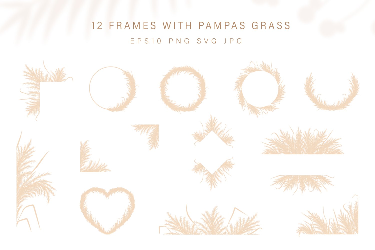 Set of 12 frames with pampas grass.