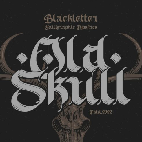 Old Skull Calligraphic Font & Bonus cover image.