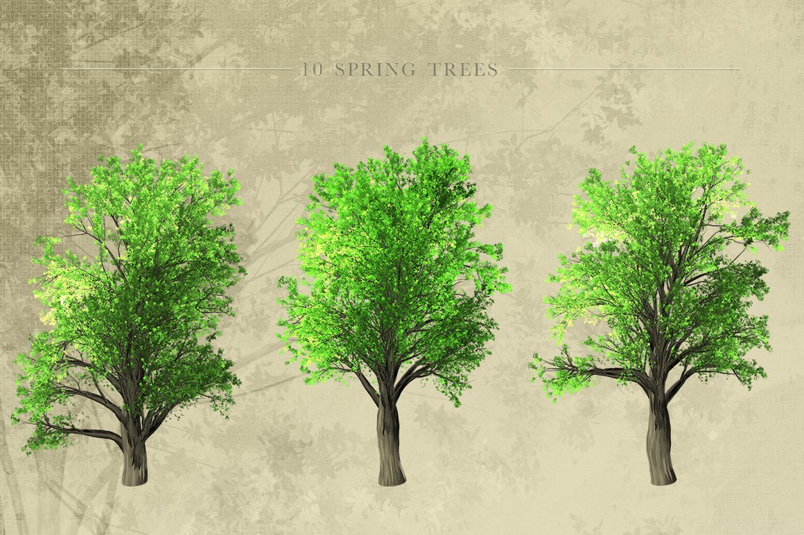 Set of four trees with green leaves.