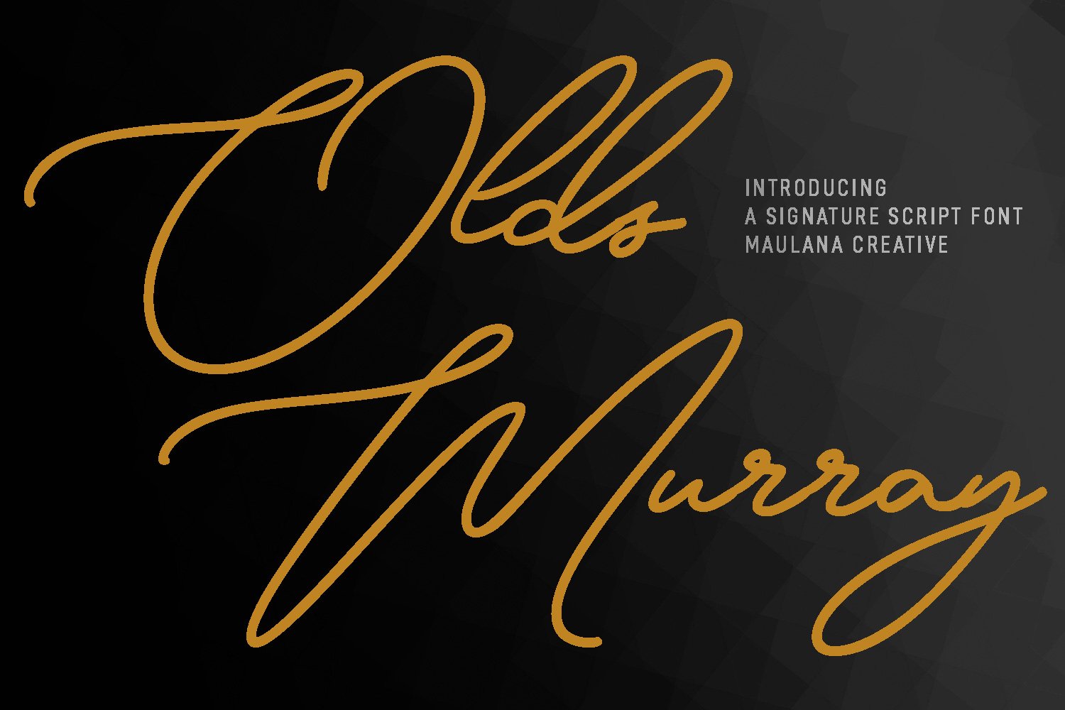 Olds Murray Signature Script Font cover image.