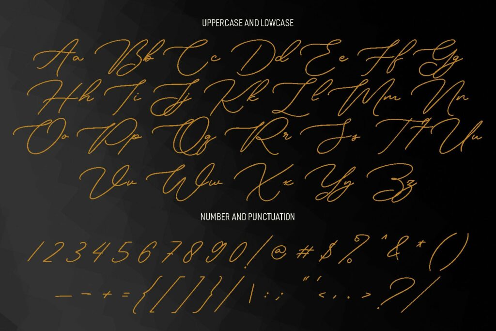 Olds Murray Signature Script Font – MasterBundles