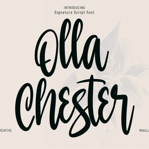 Olla Chester Script Font cover image.