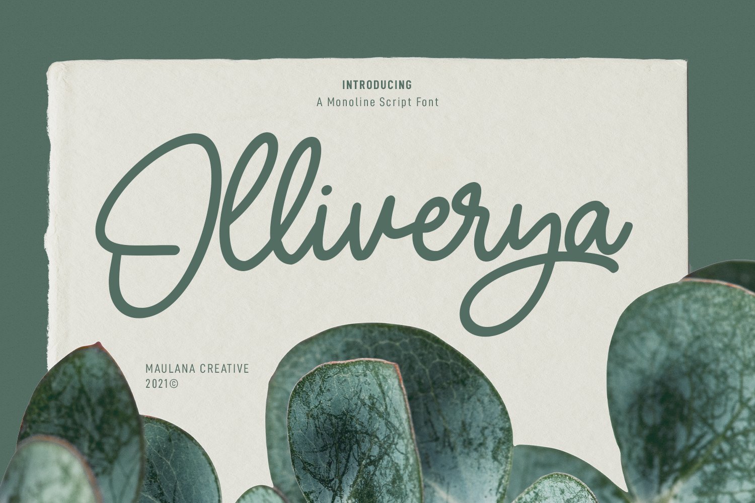 Olliverya Monoline Script Font cover image.