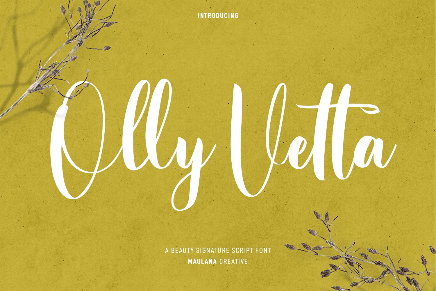 Olly Vetta Script Font cover image.