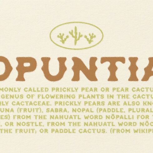 Opuntia - Curvy Spur Display Typecover image.