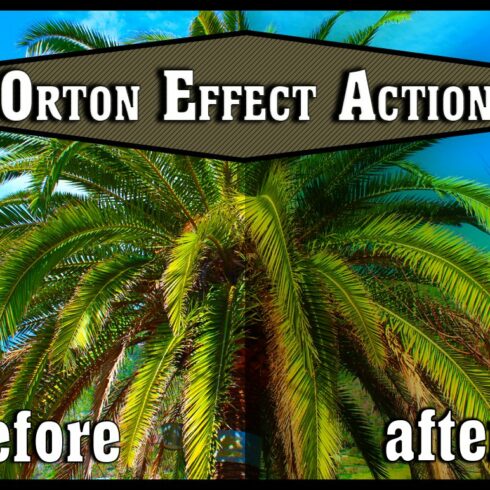 Photoshop Action - Orton Effectcover image.