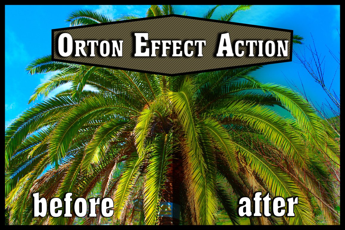 Photoshop Action - Orton Effectcover image.