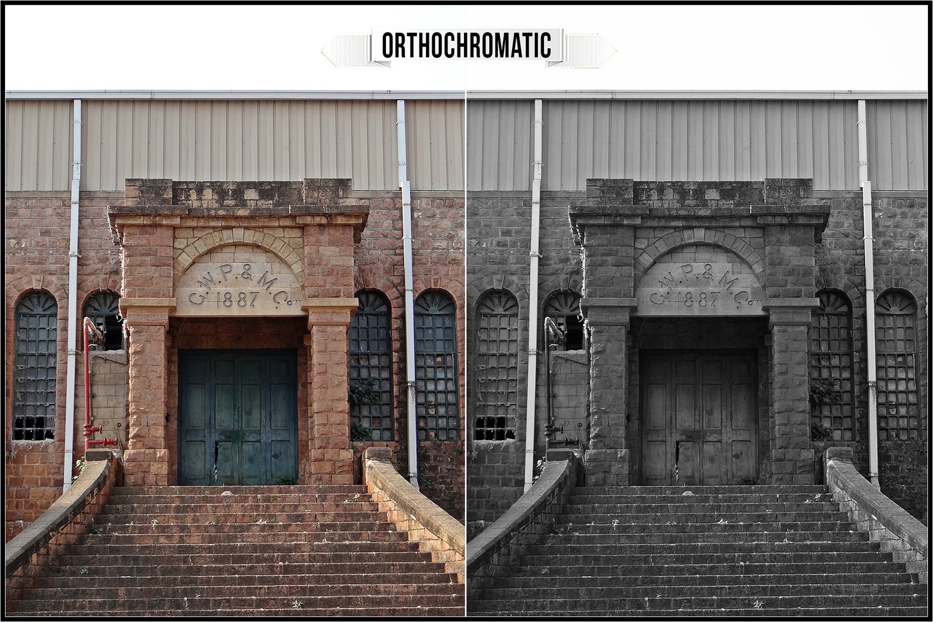 orthochromatic 683