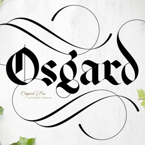 Osgard Pro | Font cover image.