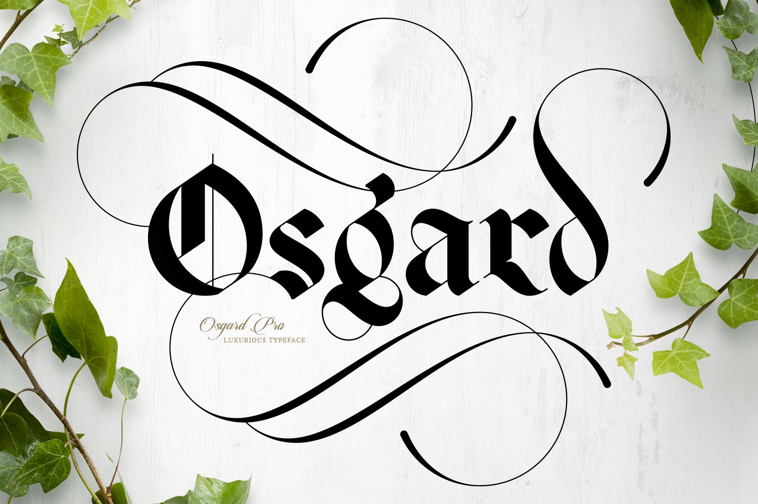 Osgard Pro | Font cover image.