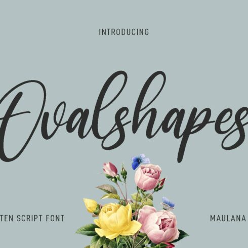 Ovalshapes Script Font cover image.