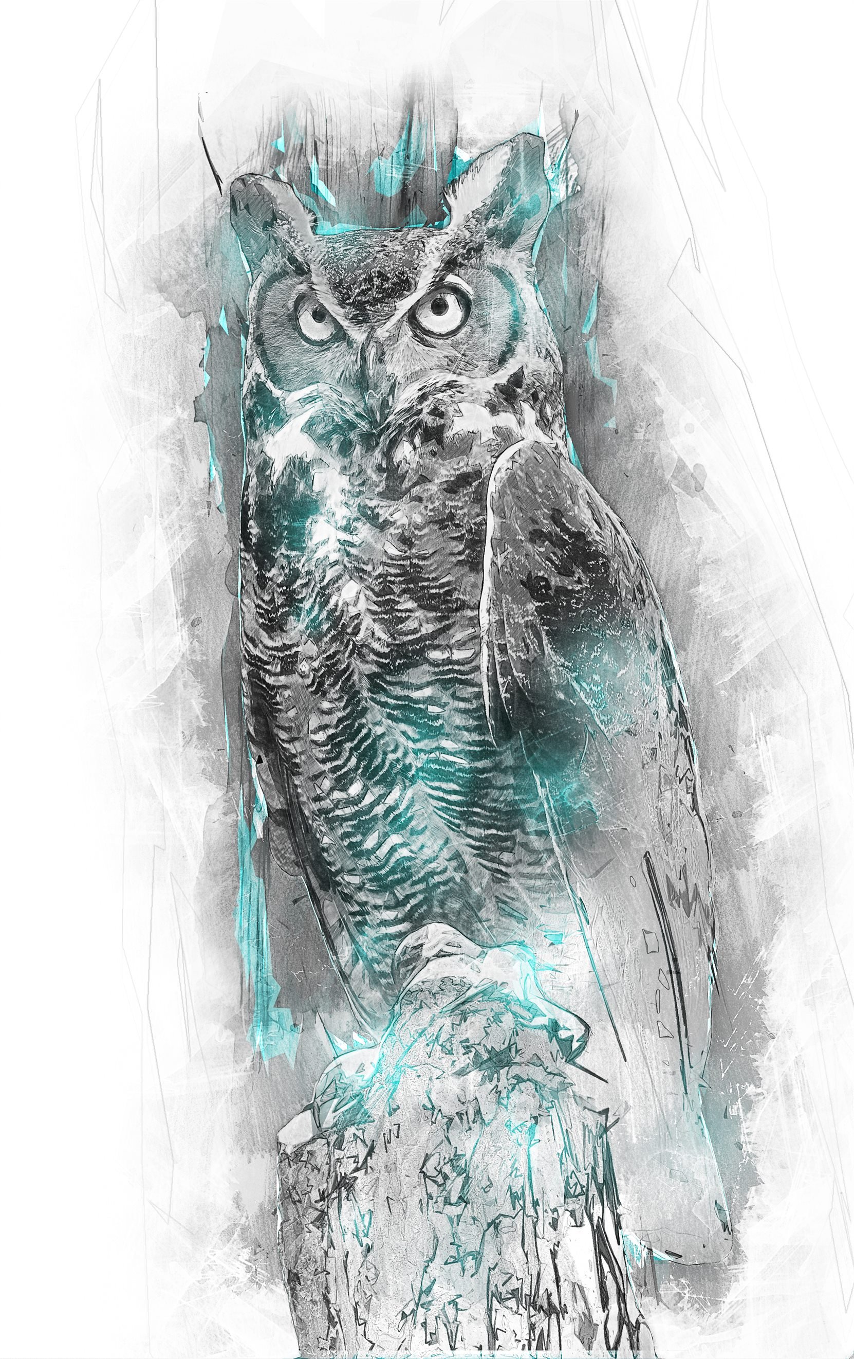 owl 957