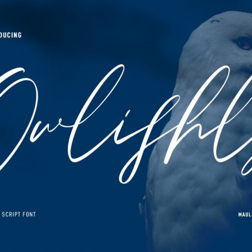 Owlishly Signature Script Font cover image.