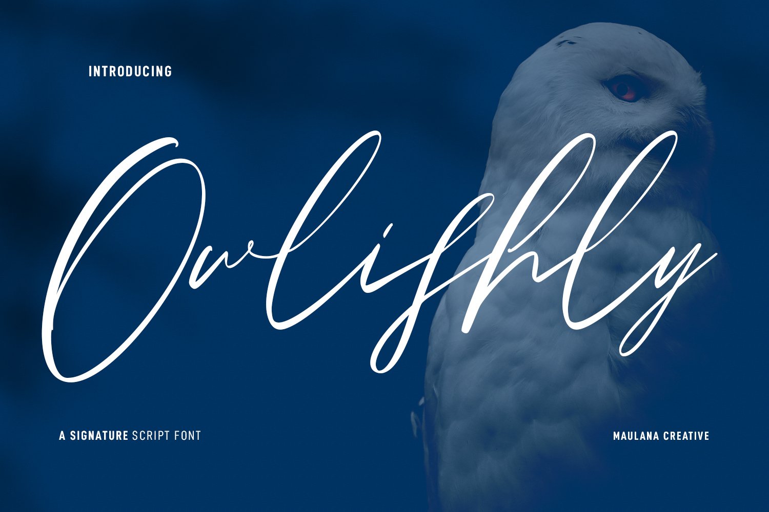 Owlishly Signature Script Font cover image.