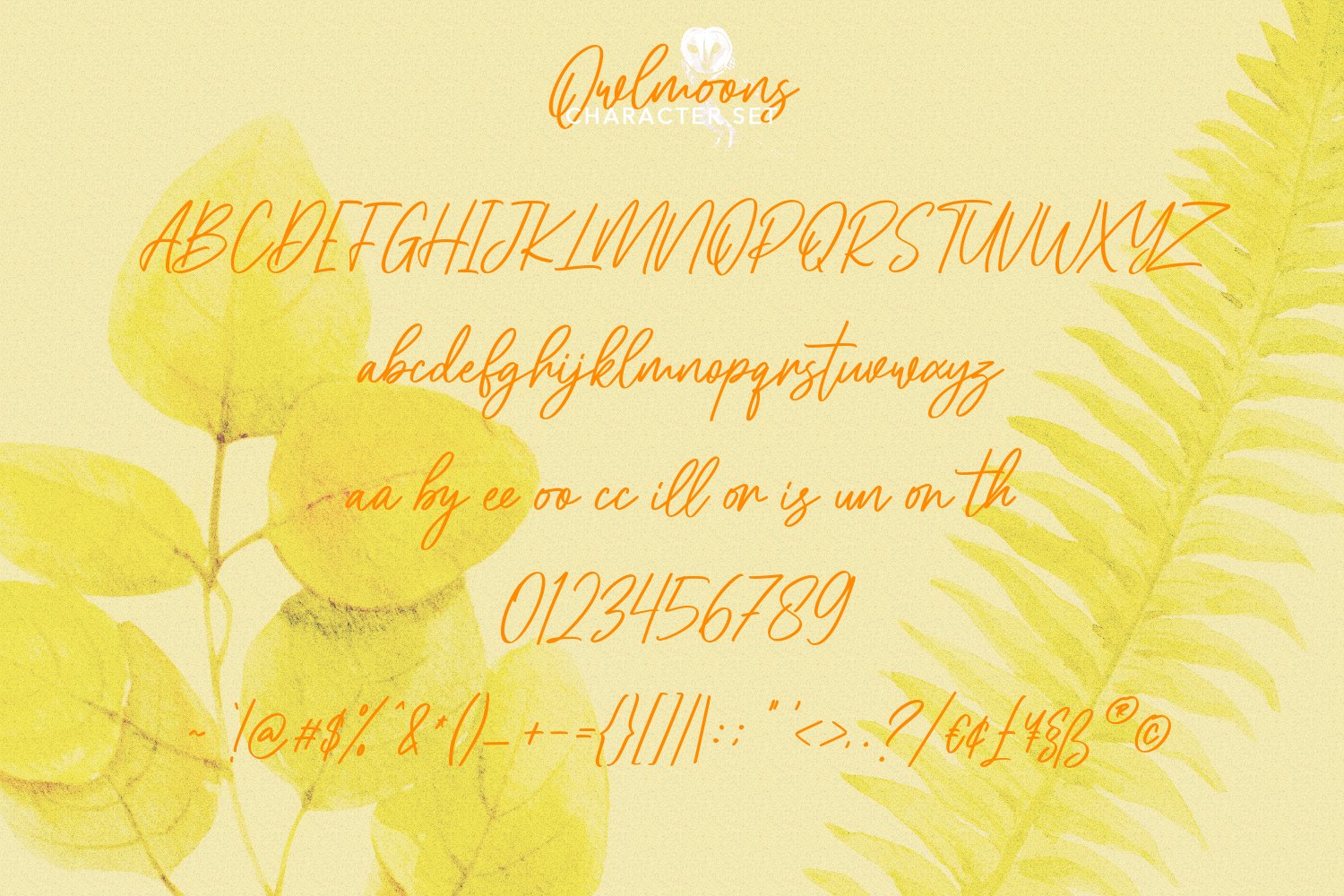 owlmoons signature font08 27