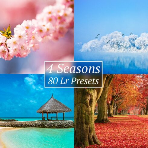 [30% OFF] 4 Seasons Lr Presetscover image.