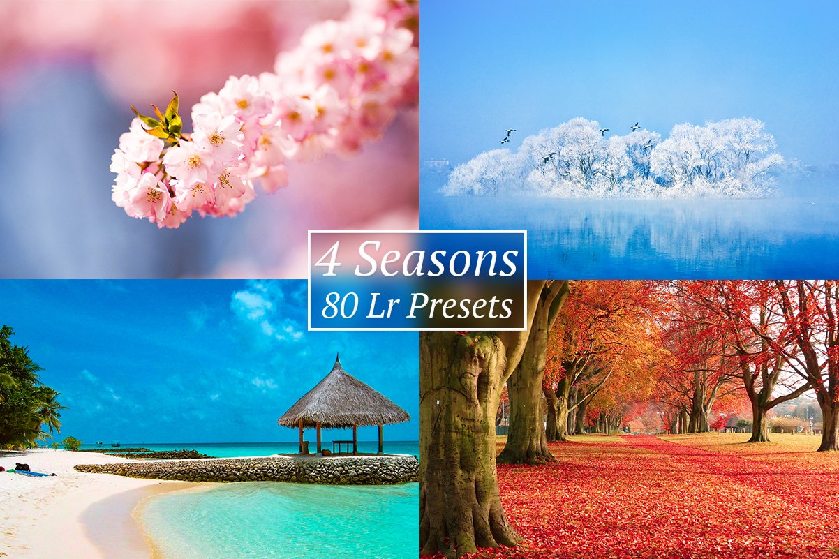 [30% OFF] 4 Seasons Lr Presetscover image.